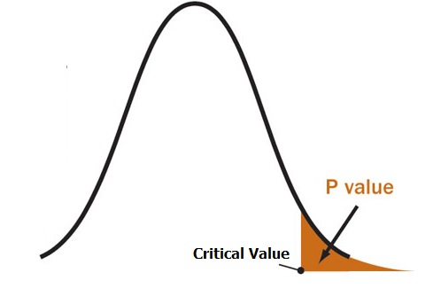 Statistical analyses: the correct way of writing the p value
